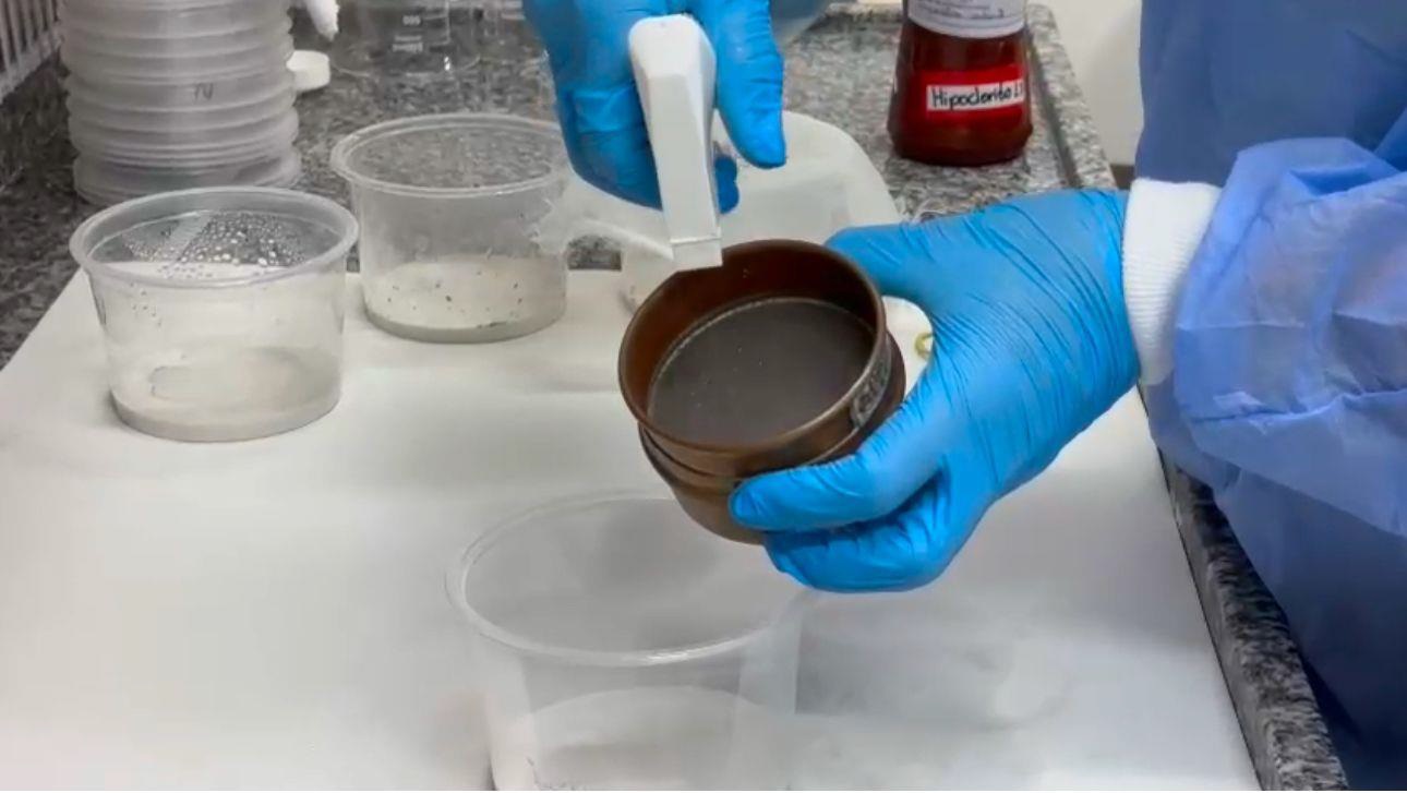 Pessoa usando jaleco azul e luvas de proteção azul manipula peneiras metálicas finas sobre um recipiente plástico transparente, durante o processo de lavagem de ovos de flebotomíneos. Ao fundo, há outros potes plásticos com tampa e conteúdo úmido, além de frascos de laboratório, um deles com rótulo vermelho indicando “Hipoclorito”.​